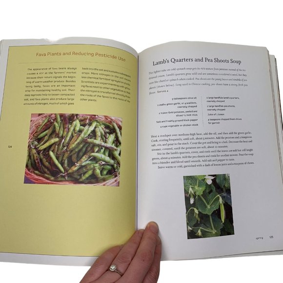 Lucid Food Cooking for an Eco-Conscious Life Louisa Shafia Paperback Cookbook - Picture 8 of 9